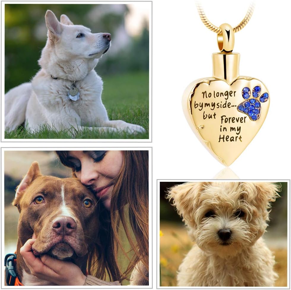 memorial jewelry No Longer by My Side,But Forever in My Heart Carved Locket Cremation Urn Necklace for Pet Dog Cats - Image 5
