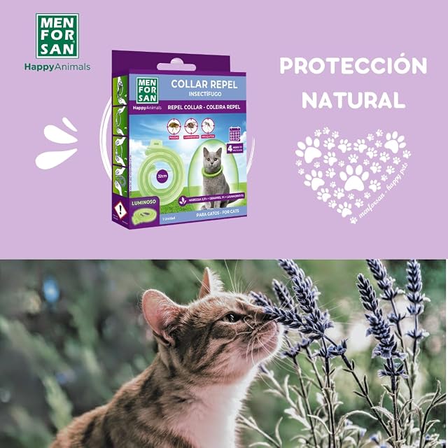 Foto 8 de 8 de MENFORSAN Collar luminiscente Anti-Insectos para Gatos, con Tres repelentes Naturales Margosa