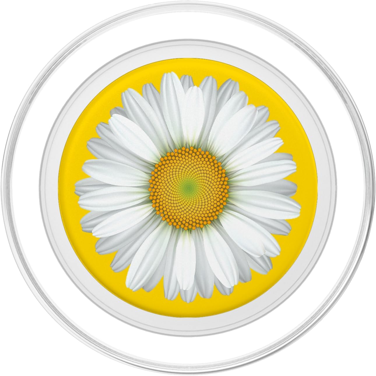 Flower Popsocket Floral Cool Popsockets for Women Cute Daisy PopSockets MagSafe PopGrip for iPhone