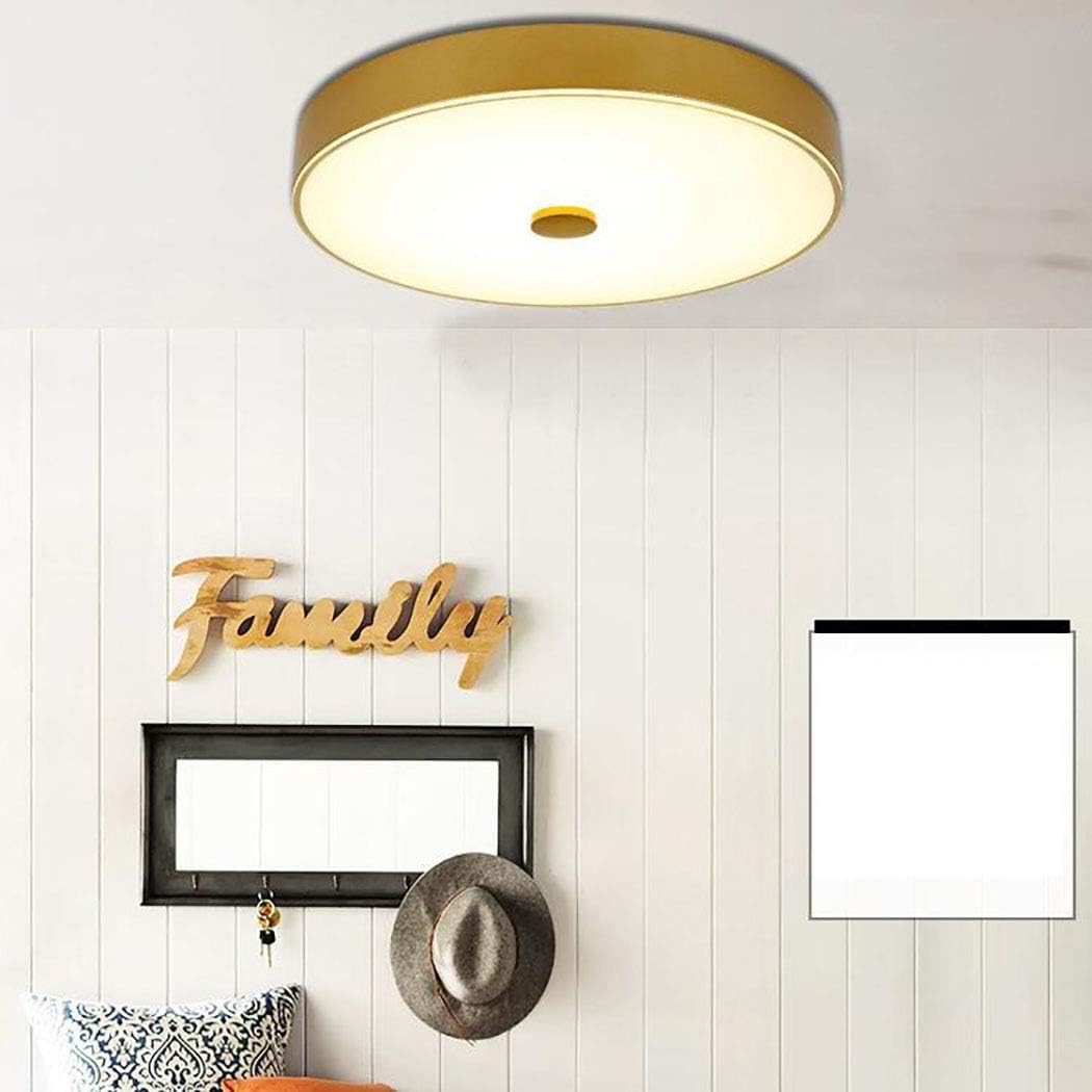Round Dimmable Flush Mount Ceiling Lights Fixture, 12-Inch LED Ceiling Lamp with Glass Lampshade for Bedroom Living Room Hallway,Gold