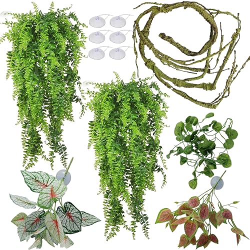 Reptile Plants for Bearded Dragon Tank...