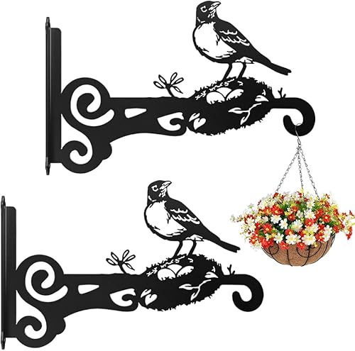 EMAGEREN 2er-Set Wandbehang Korbhalterungen Blumenampel Halterung Metall Pflanze