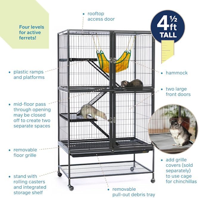EveryYay by Petco Feisty Ferret Home