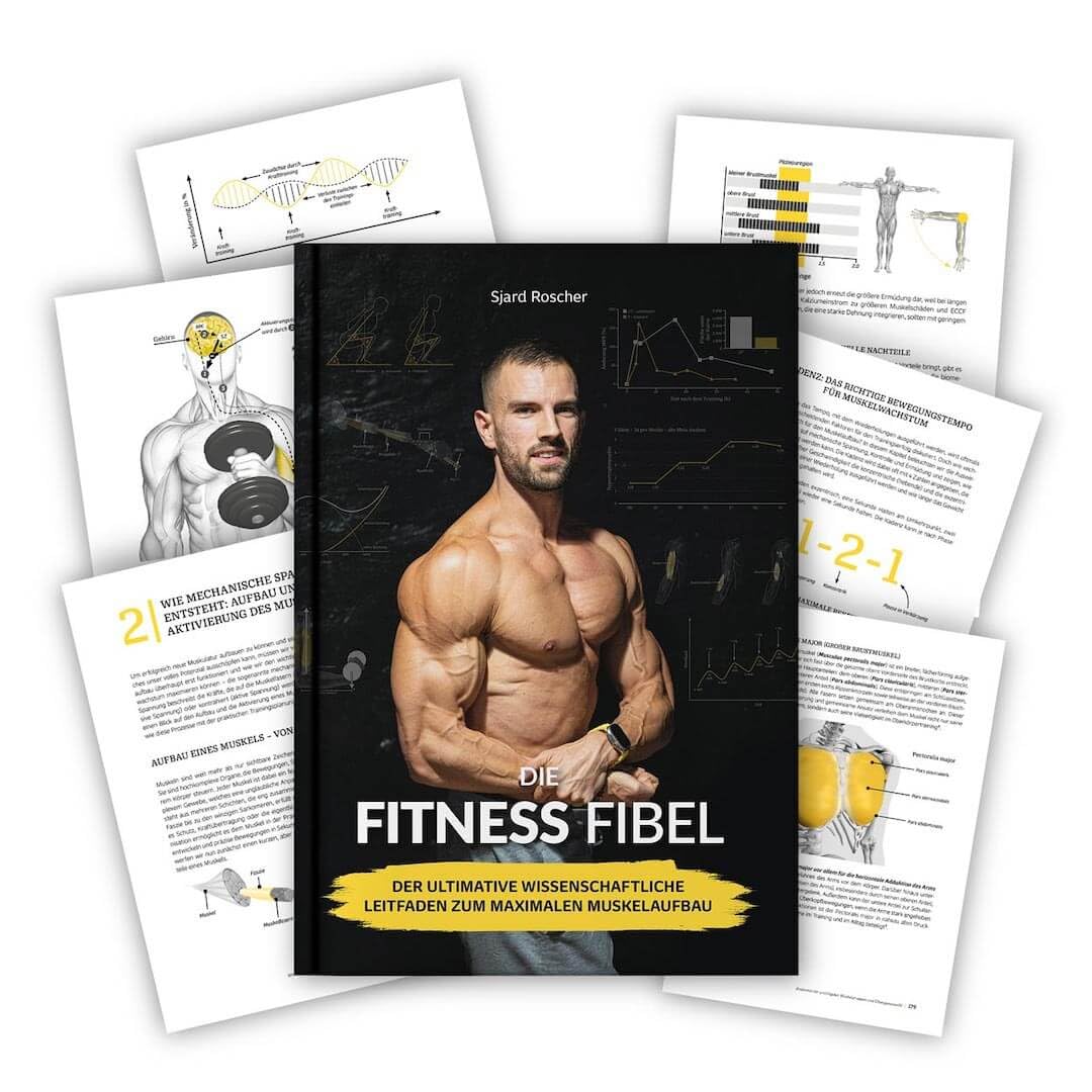 Die Fitness Fibel 2025 Sjard Roscher Hardcover neu Muskelaufbau Training Sport NEUAUFLAGE