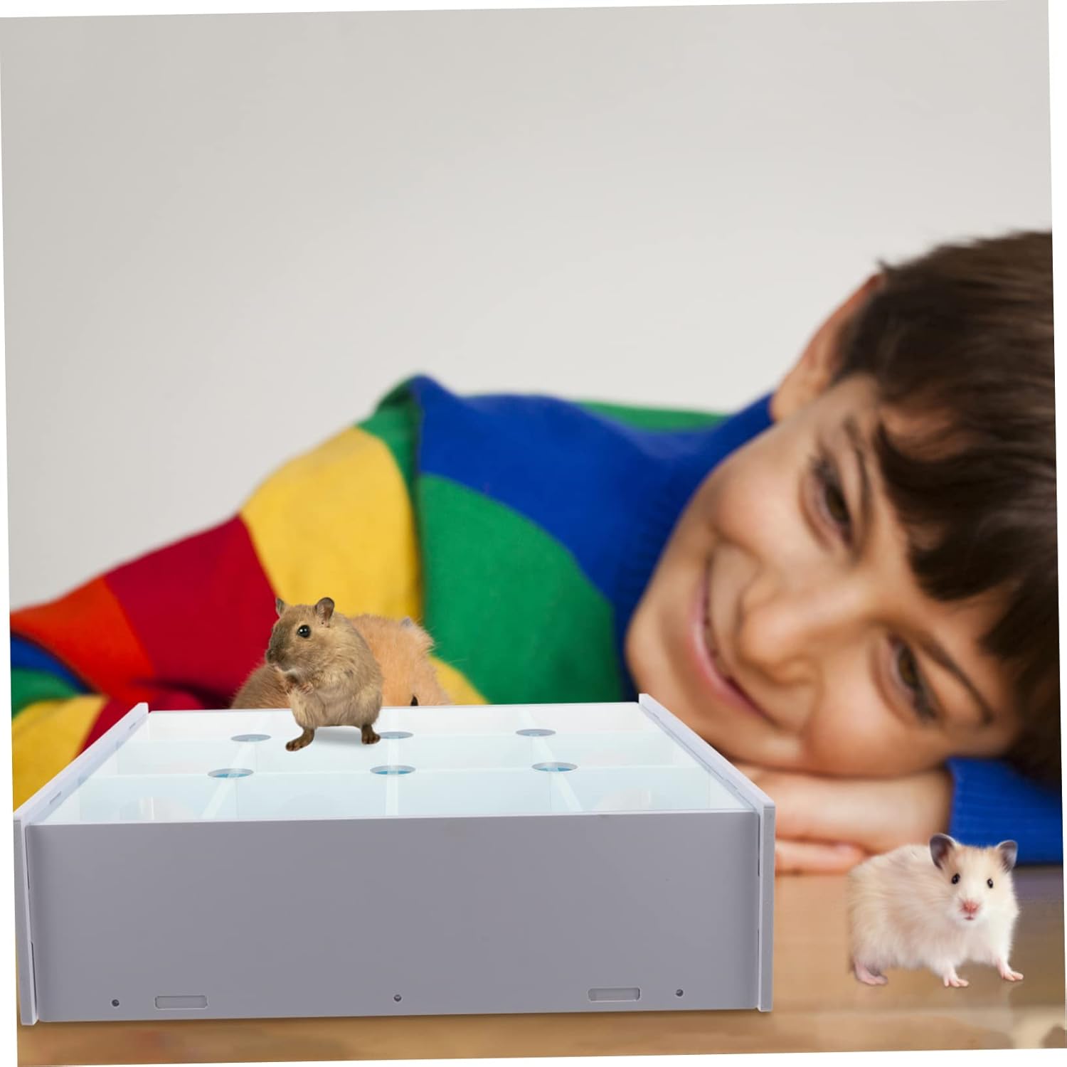 HANABASS Hamster Tunnel Toy Creative Labyrinth for Interactive Plaything for Hamsters Mice and Gerbils Encourages Activity and Boredom Cozy Sky