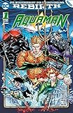  Aquaman: Bd. 1 (2. Serie): Der Untergang