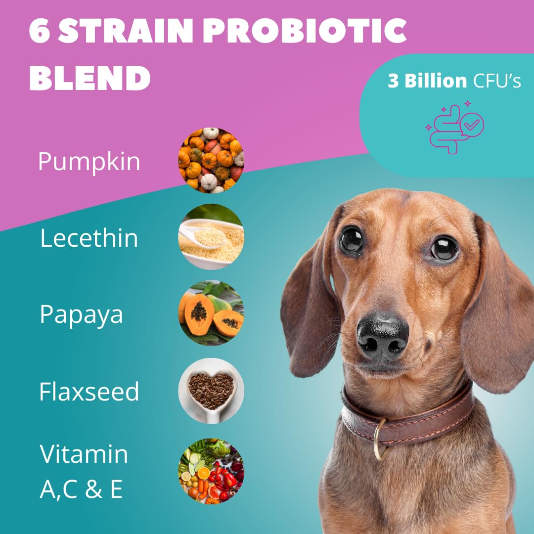 Funky Dawg Premium dog probiotic supplement chews - Image 2