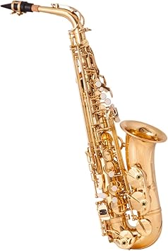 TSTS EB Alto Saxophone Brass Gold Lacquer E-Flat Sax Woodwind Instrument with Accessories Brass Sax Full Kit
