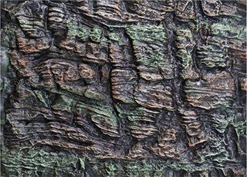 3D Aquarium background Two-toned backing x3