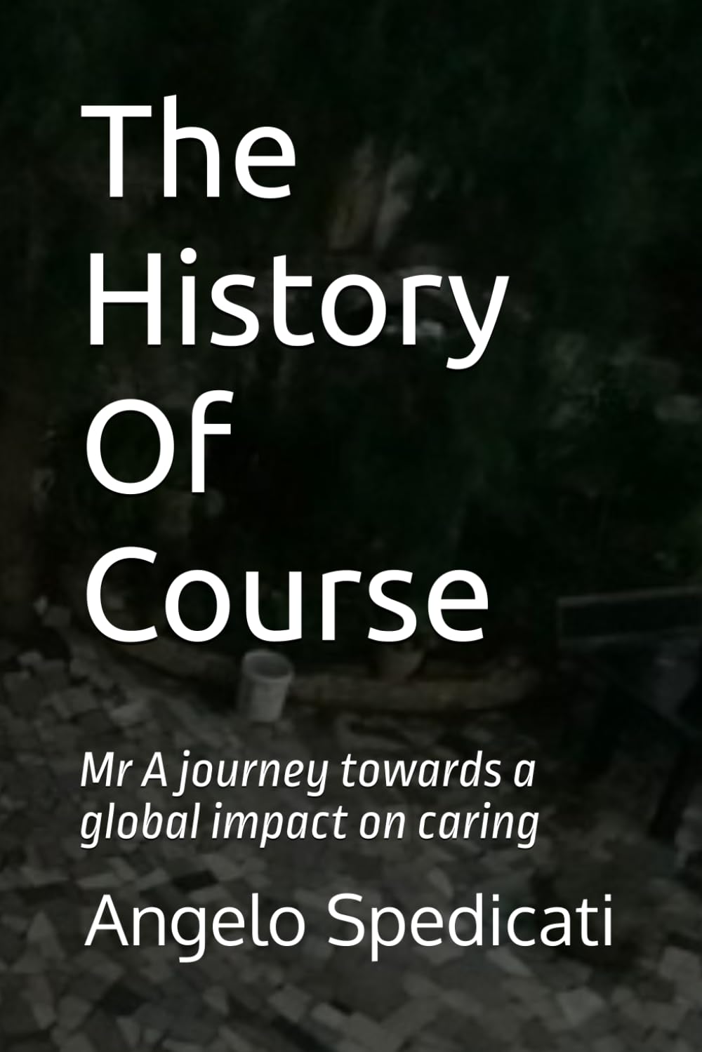 The History Of Course: Mr A journey towards a global impact on caring