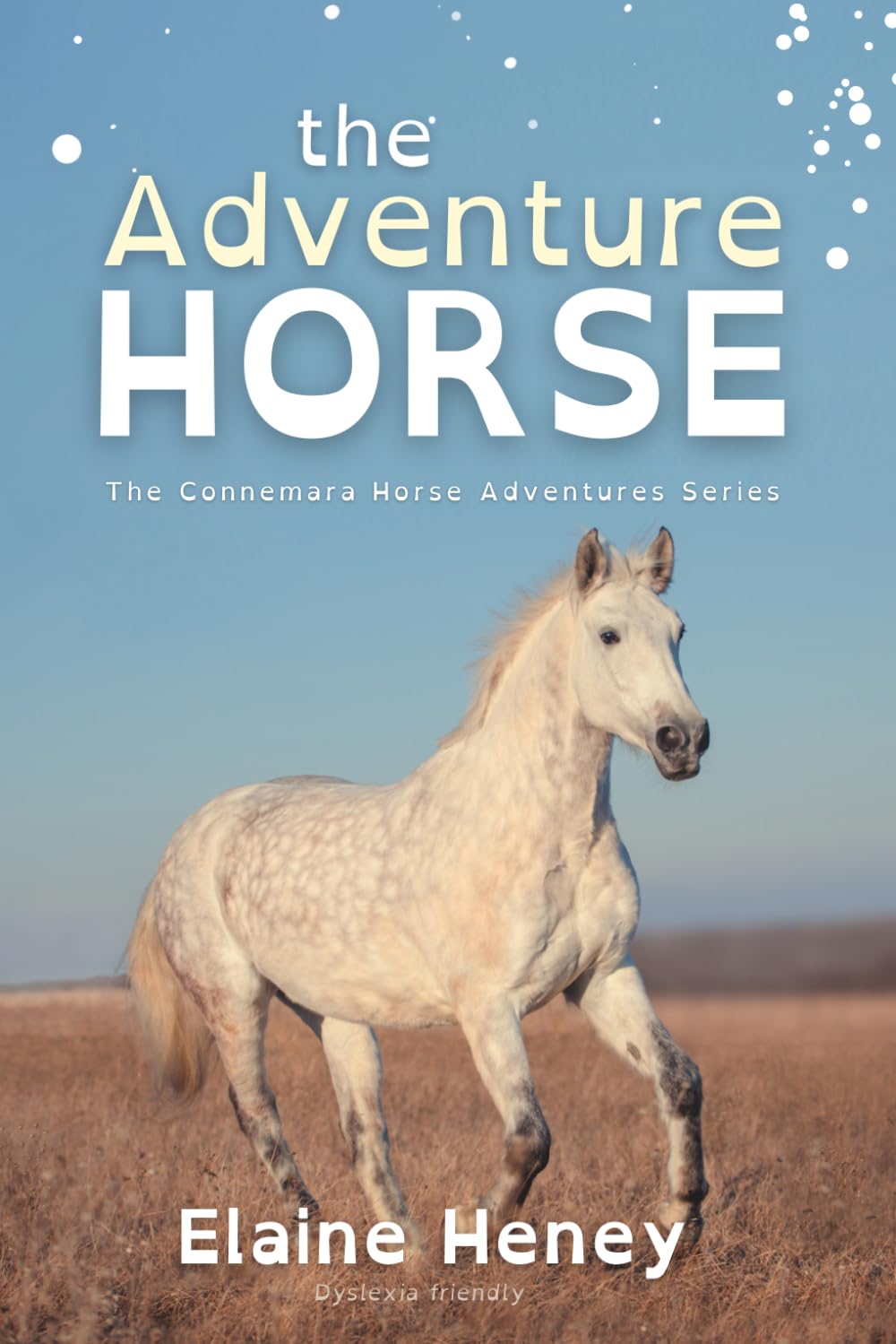 The Adventure Horse - Dyslexia Friendly: 5 (Connemara Pony Adventures Dyslexia Friendly)