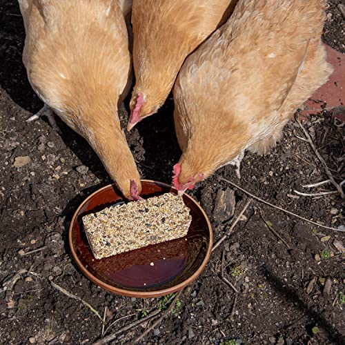 Farmers' Helper Original Forage Cake For Chickens, Turkeys, Peafowl, Guinea Fowl, Geese, Pheasants and Ducks, 13 Ounces