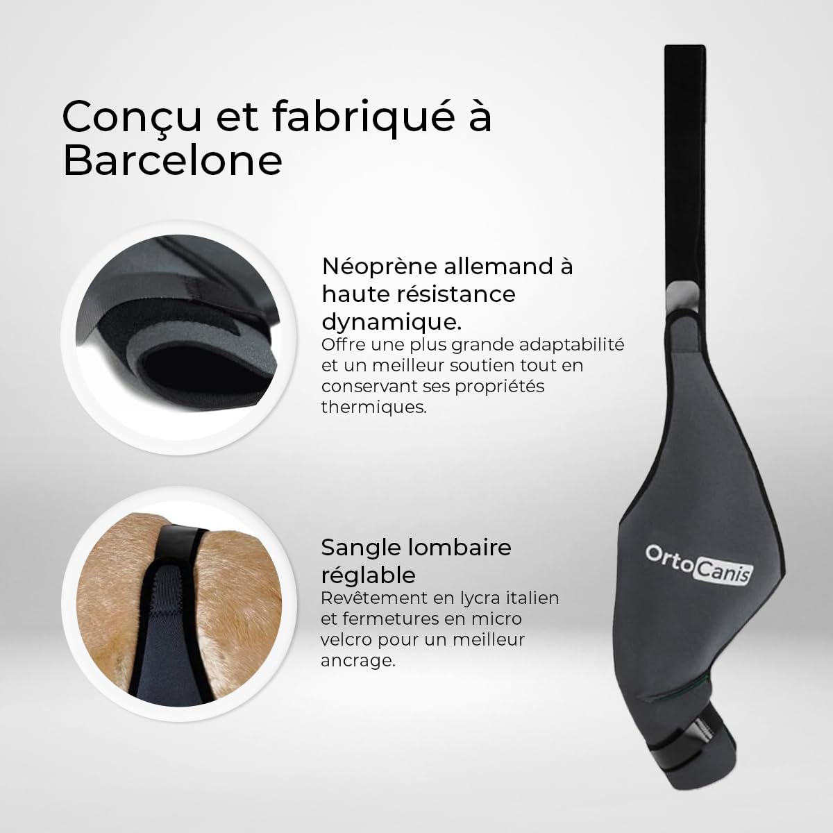 Ortocanis - Genouillère pour Chien - pour Patte Arrière Droite - Fabriquée en Néoprène ARD - pour Déchirure du LCA, Lésions Ligamentaires - Taille Large (32-36 cm)