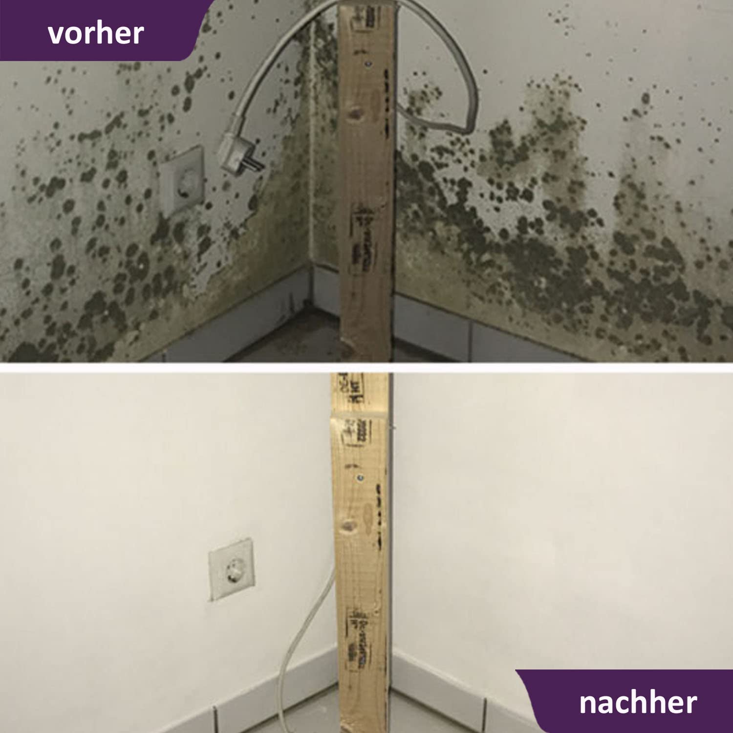 MycoSolan Schimmel-Sanier-Set und Anti-Schimmel-Set mit Schimmelentferner, Streichwerkzeug und Innenfarbe gegen Schimmel (5,0 Liter)