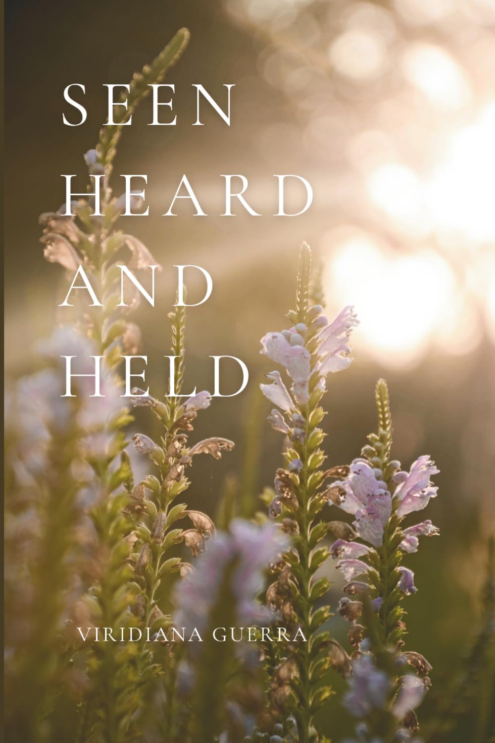Seen Heard and Held: A Collection of Quiet Reflections for Emotional Clarity