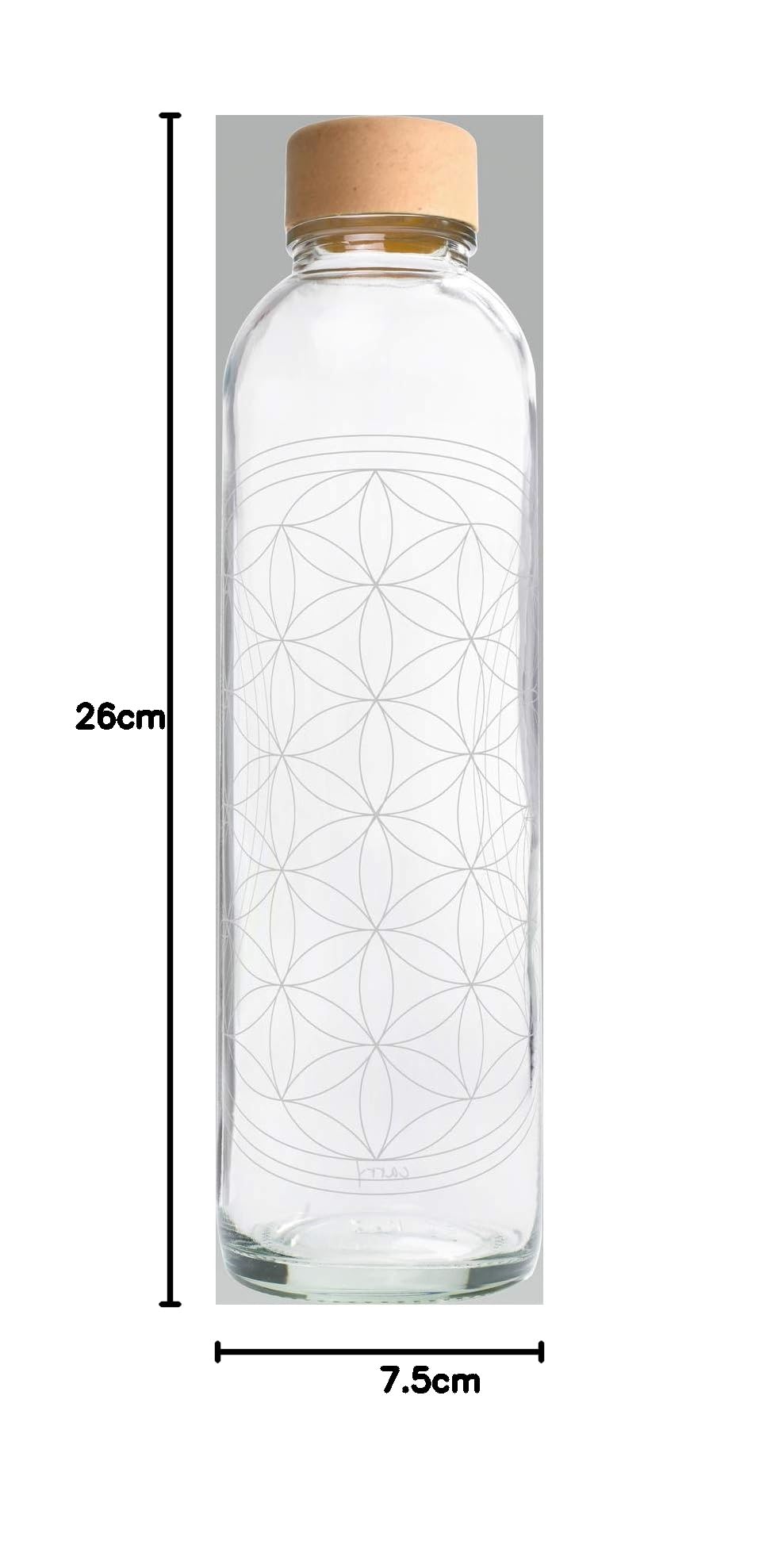 Carry Carrybottles - Bottiglia in vetro da 0,7 l (Water Is Life), borraccia sportiva, senza BPA, a tenuta stagna e gassata, made in Germany