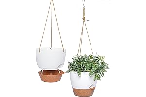 Self-Watering Hanging Planters for Optimal Greenery