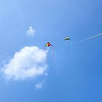 Vista 5 de Large Rainbow Delta Kite for Kids & Adults,Single Line Beach Kite for Kids Ages 4-8 & 8-12,Easy to Fly for Toddlers and Beginners