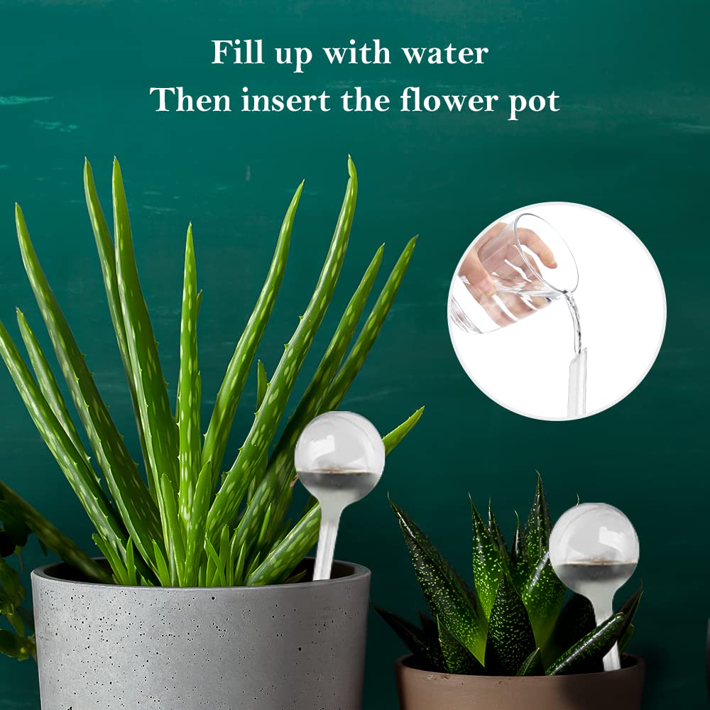 how to make bonsai plant at home DIY Bonsai Kit – Costa Farms main image 1