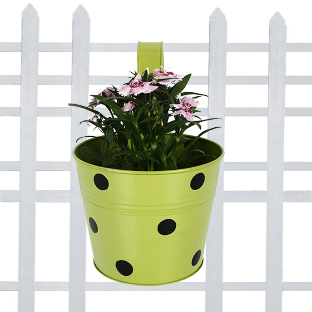 TrustBasket Single Pot Railing Plant with Polka Dots (Pack of 1) - (Green) Dotted Railing Metal Planters for Balcony and Home Gardening, Indoor, Outdoor (B01DXQIIVA) Amazon Price History, Amazon Price Tracker