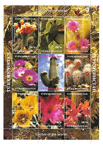 Fiori foglio menta timbro con fiori di cactus su nove diversi francobolli / Turkmenistan