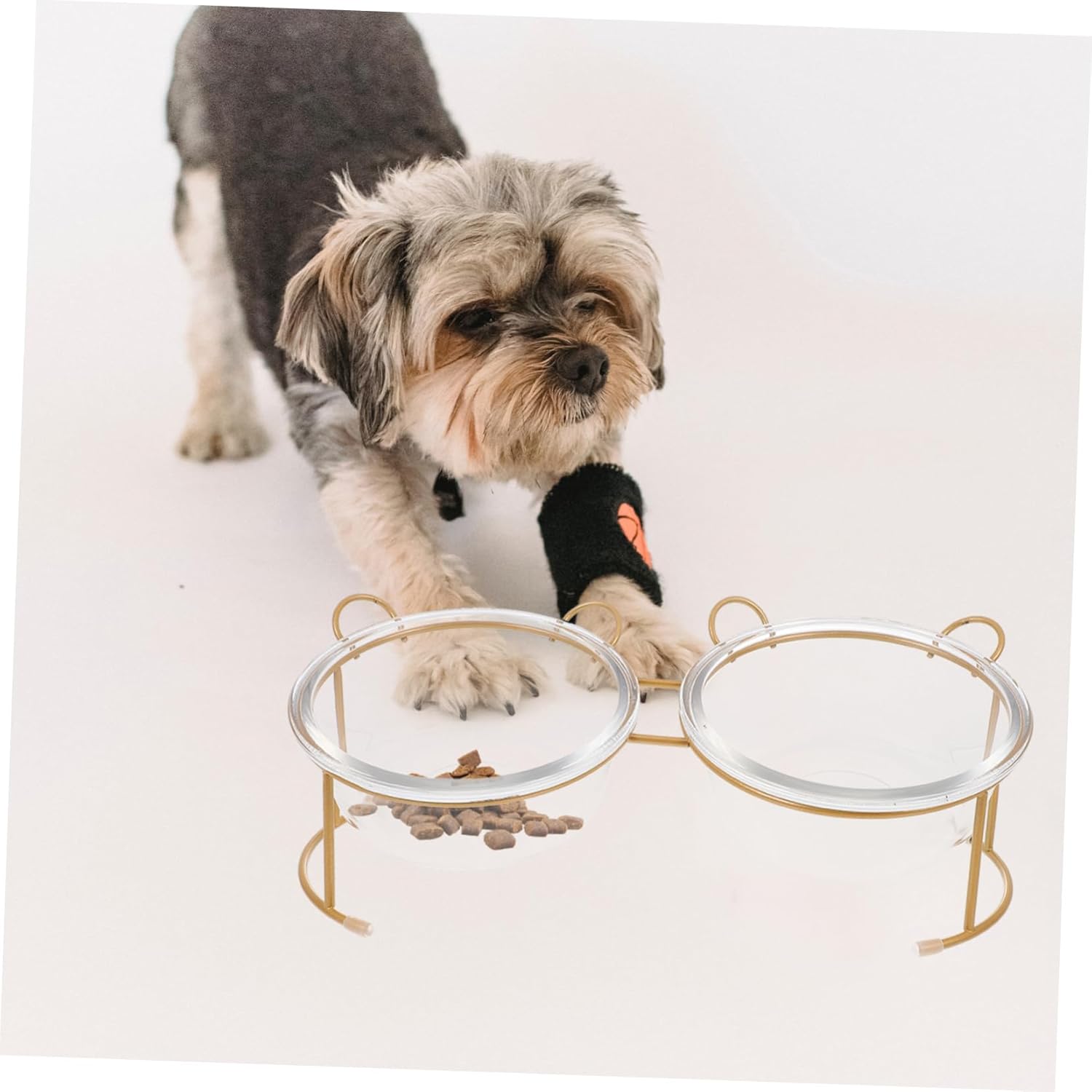HEMOTON 1set Elevated Glass Cat Bowls with Iron Rack Feeding Bowl for Cats and Dogs Pet Supply for Easy Drinking and Eating Food-Grade Safe Materials