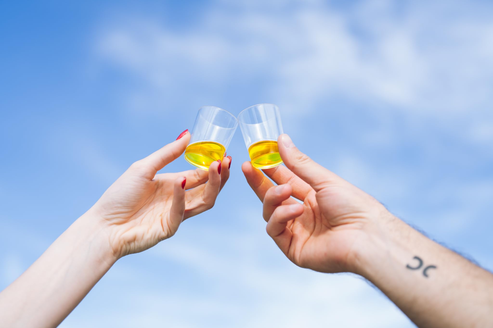 NovusPuglia – Oliwa z oliwek Extra Virgin 100% włoska – Bag-in-Box 3L – Tłoczona na zimno – Coratina & Ogliarola – Zbiory 2024/25