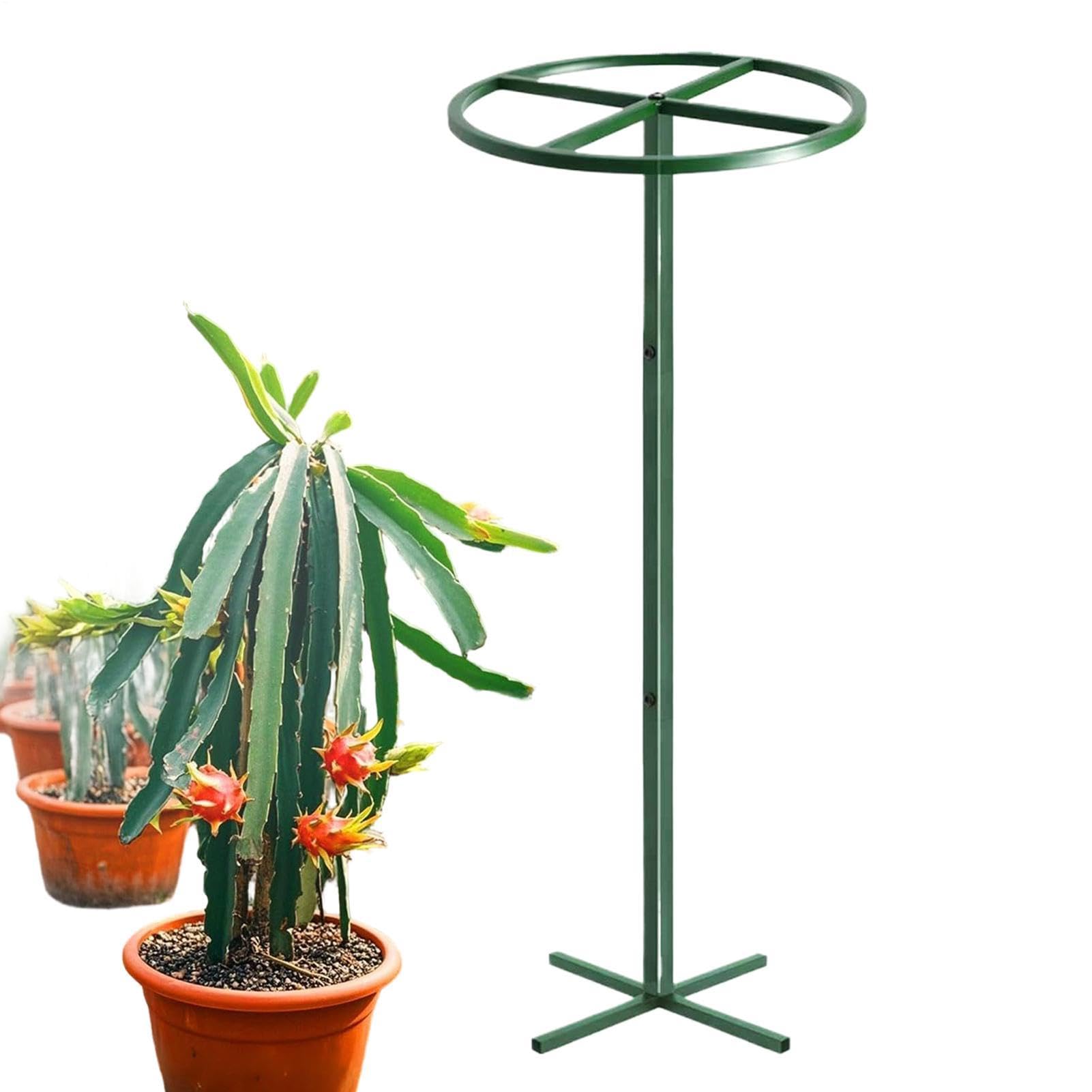 Pilar de escalada botánica, aguja vertical, accesorios de jardín, soporte de plantas de fruta del dragón para plantas de tomate, flores, pepino, vides, macetas, interiores y exteriores, patio