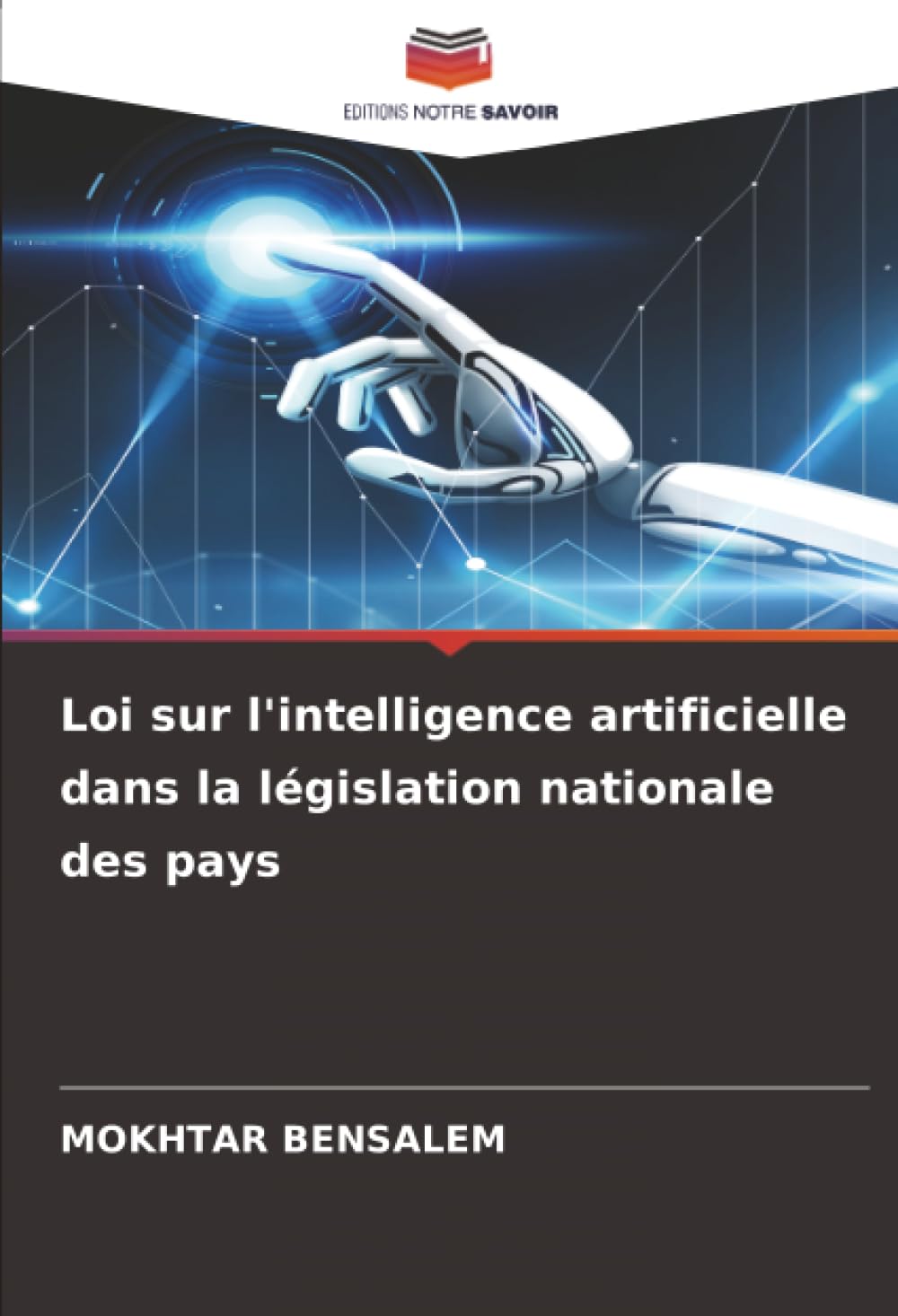 Loi sur l'intelligence artificielle dans la législation nationale des pays
