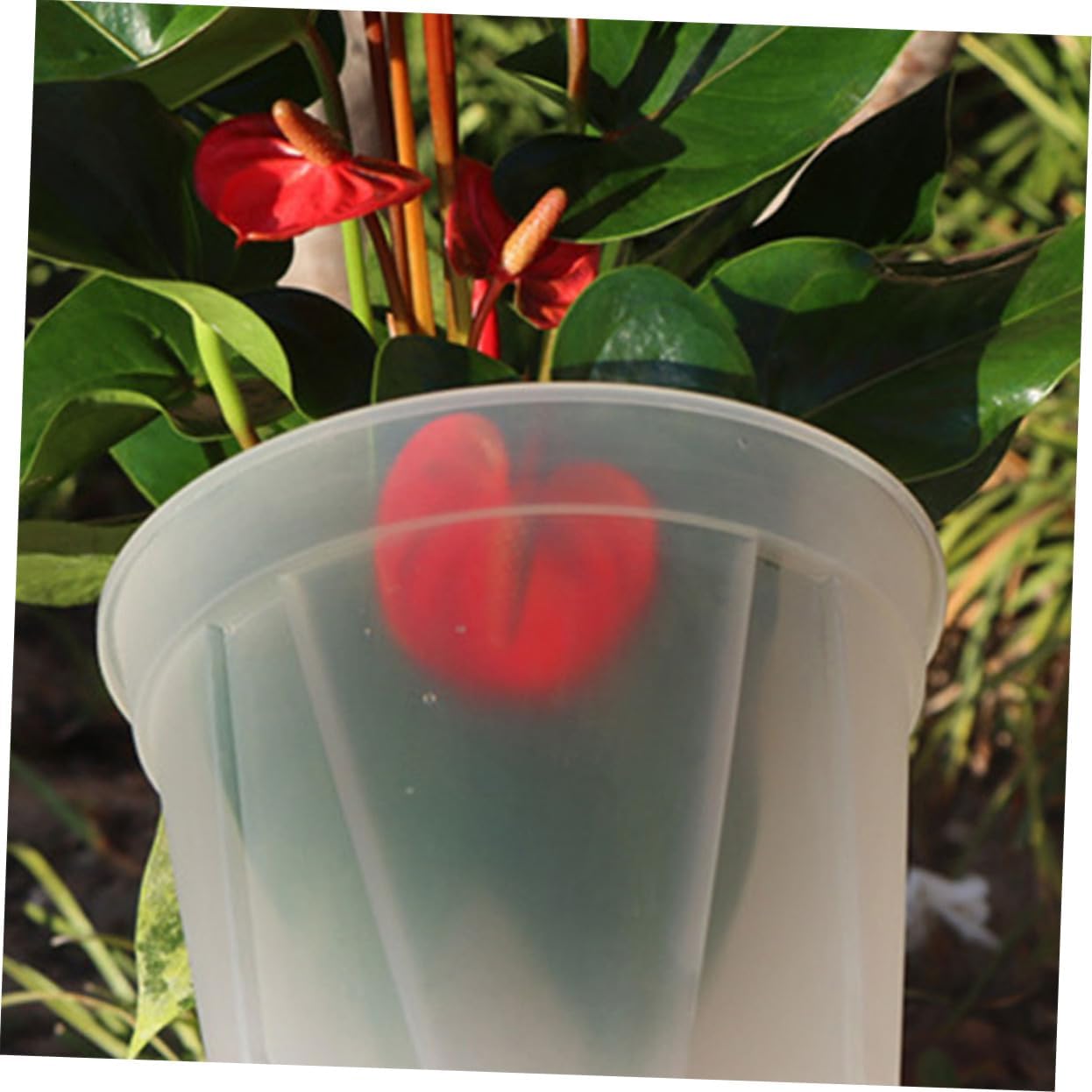 4pcs Seed Pot Planter Nursery Pots Breathable Plastic for Home Gardening