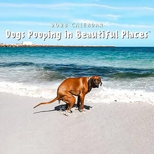 Dog Poop Calendar Funny Calendar, Dogs Pooping in Beautiful Places Wall Calendar, Funny Dog Pooping Calendar, 2023 Funny…
