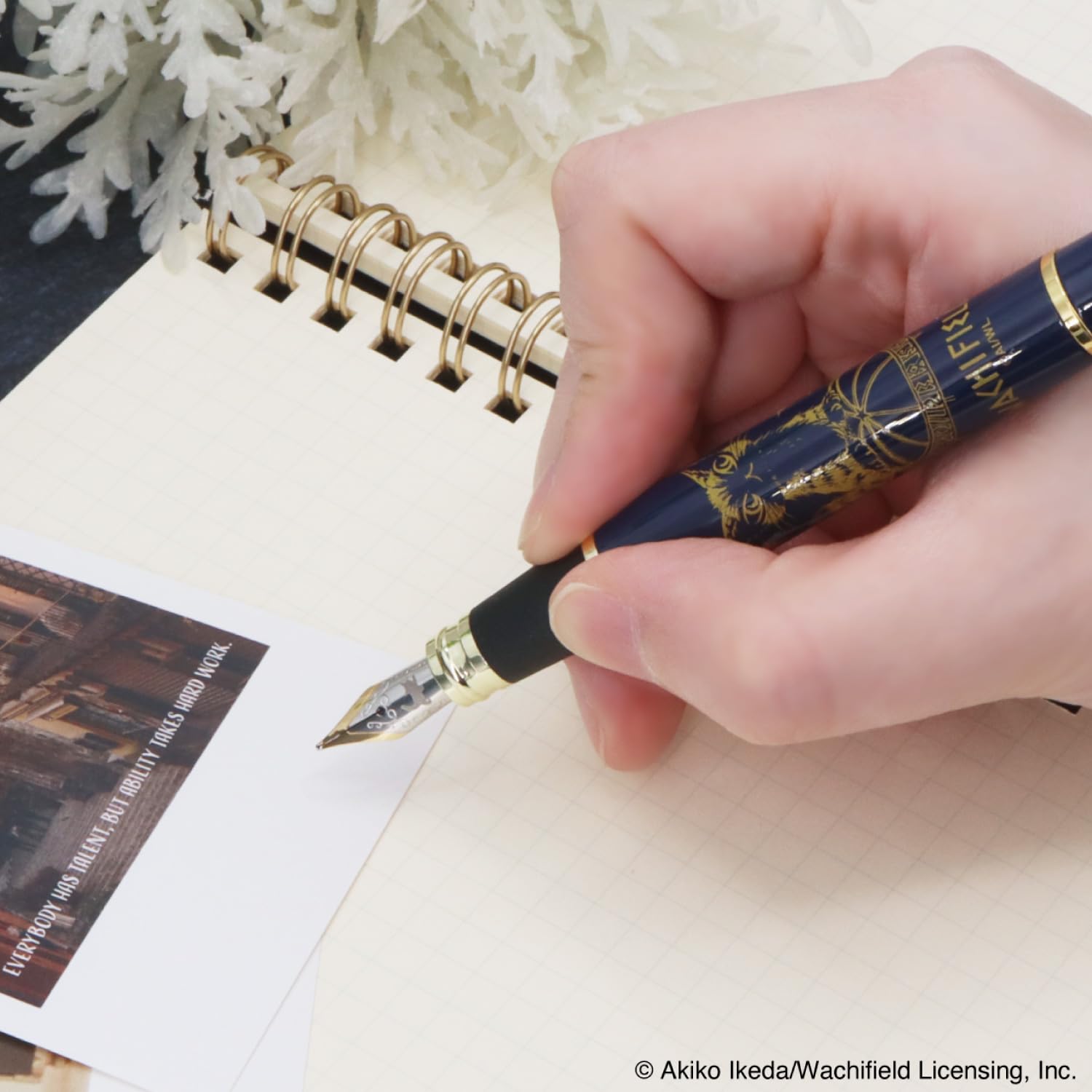 Amazon.co.jp: わちふぃーるど 猫のダヤン 万年筆 ―天球のダヤン