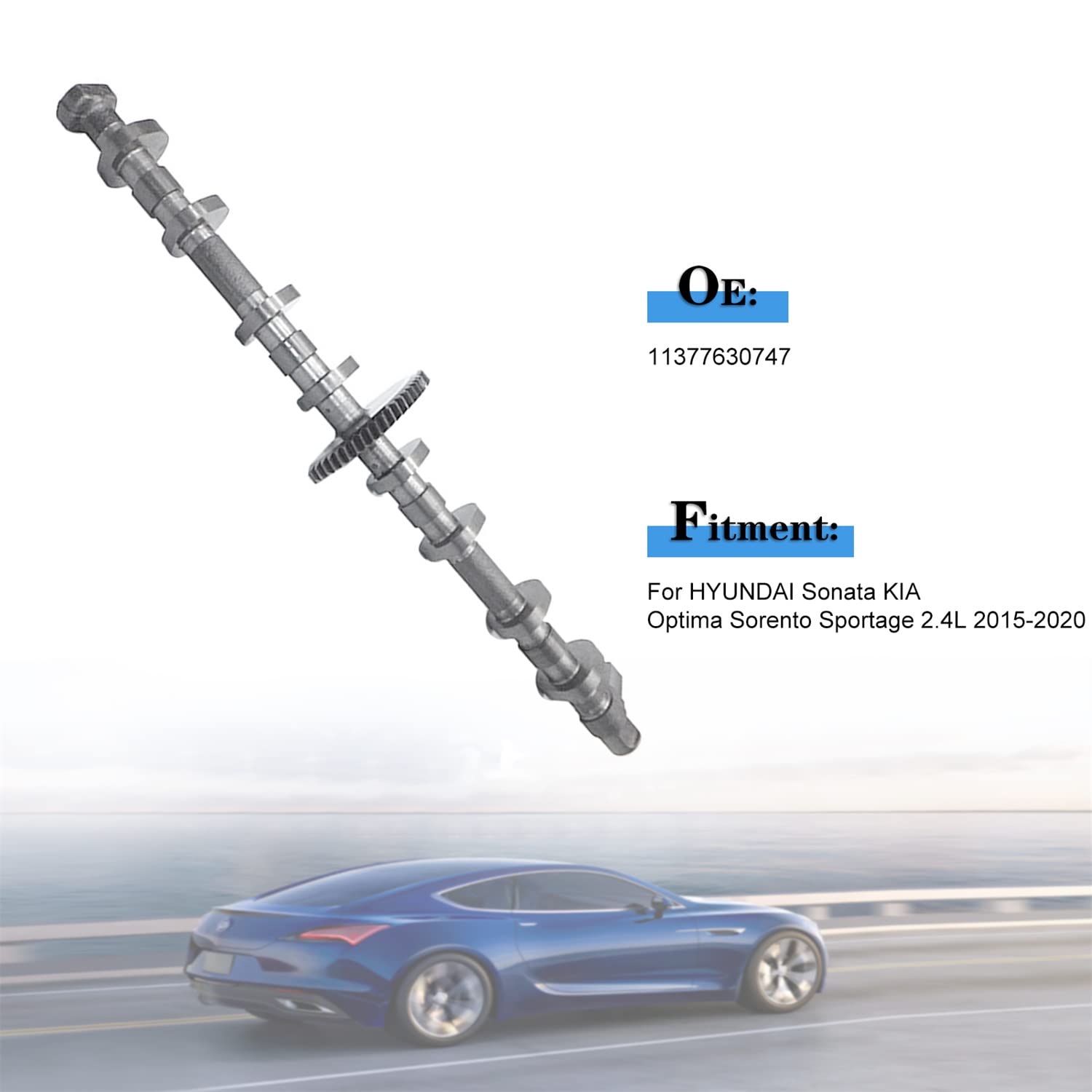 Amazon.com: FIWARY Engine Eccentric Balance Shaft fits for 320I 