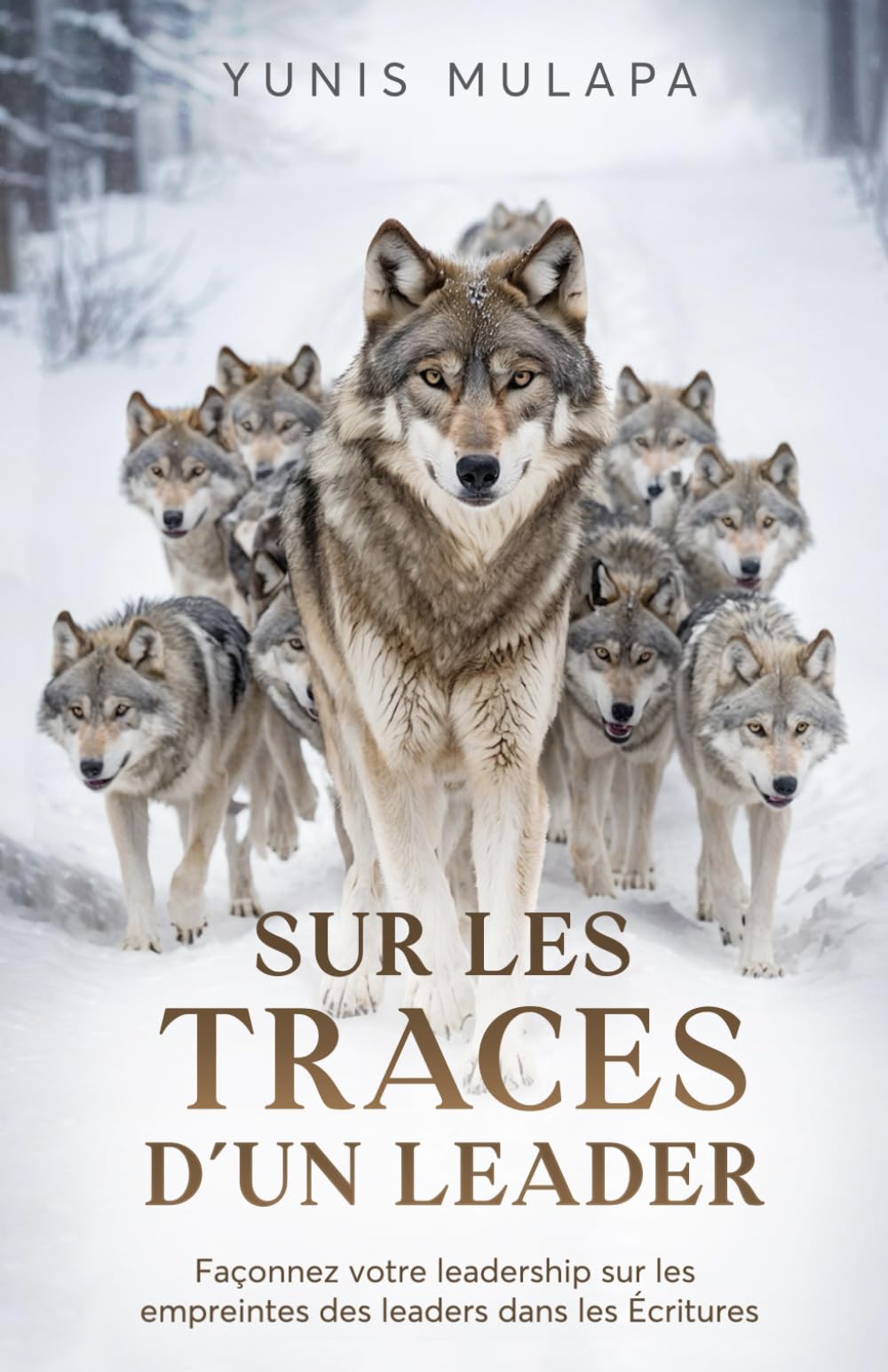SUR LES TRACES D’UN LEADER: Façonnez votre leadership sur les empreintes des leaders dans les écritures