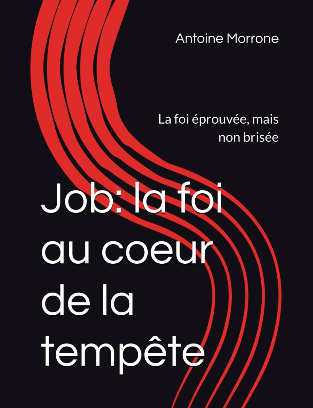 Job: la foi au coeur de la tempête: La foi éprouvée, mais non brisée