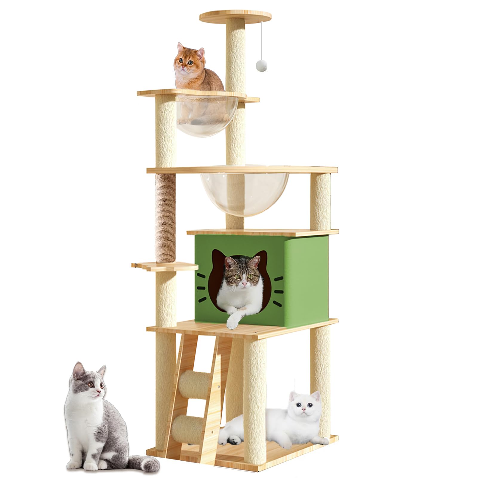 Mekidulu Tiragraffi per gatti,Con Cuccia gatto,2 Capsula spaziale trasparente,Gioco per Palla,Trespolo per Piattaforma,Scala per,Tiragraffi per gatti adulti(145CM)