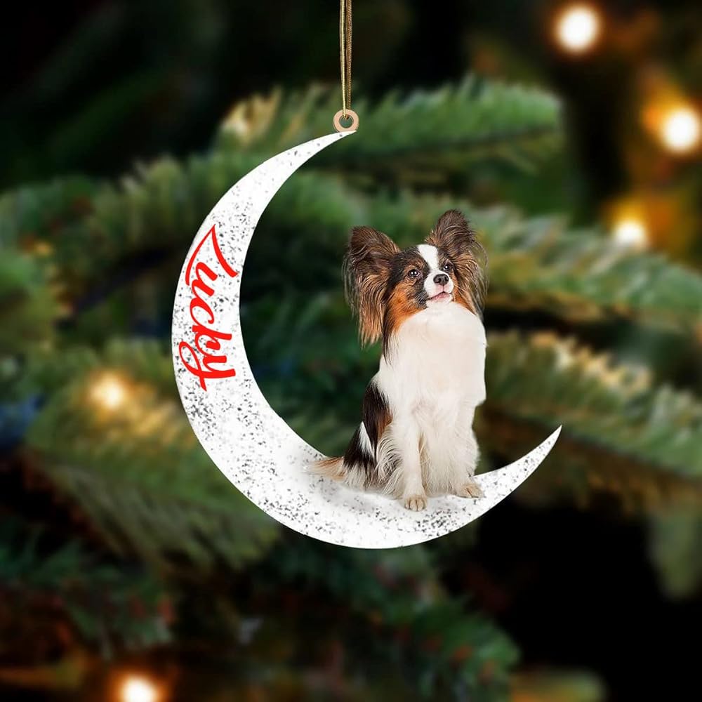 30 Best Gifts for a Papillon Owner - iHeartDogs.com 12 61 Slpn8C9L. SL1000