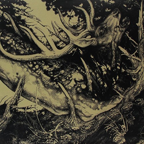 THIRD EYE FOUNDATION,THE