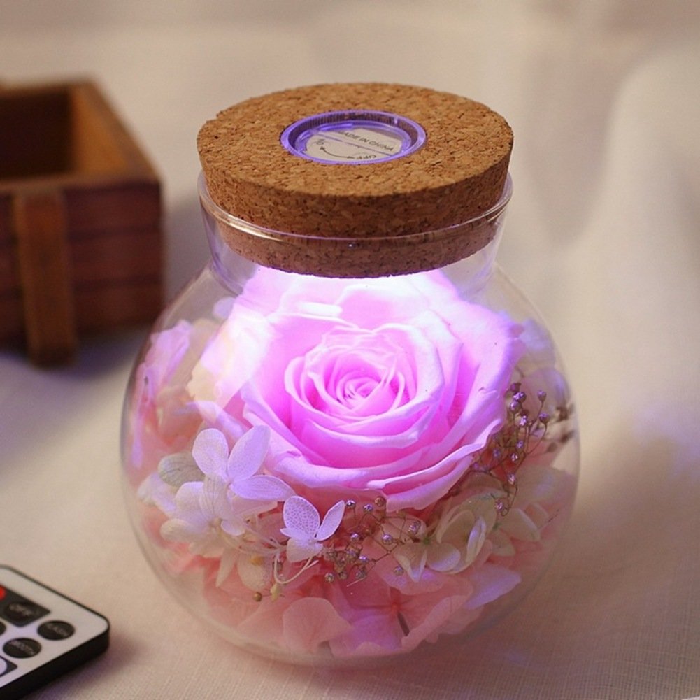 La Fleur De Baoyongsheng De Verre rose et sa rose éternelle sous cloche