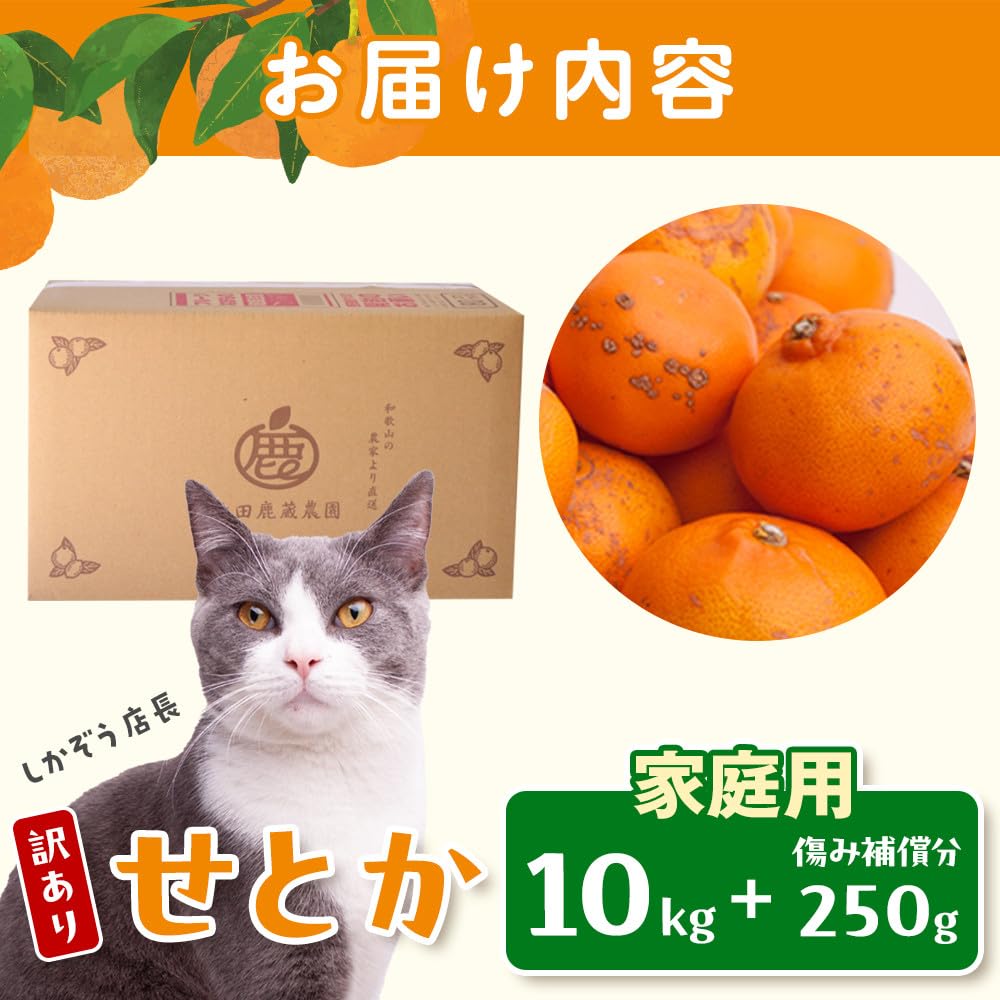 Amazon.co.jp: ［先行予約］家庭用 せとか10kg+250g（傷み補償分