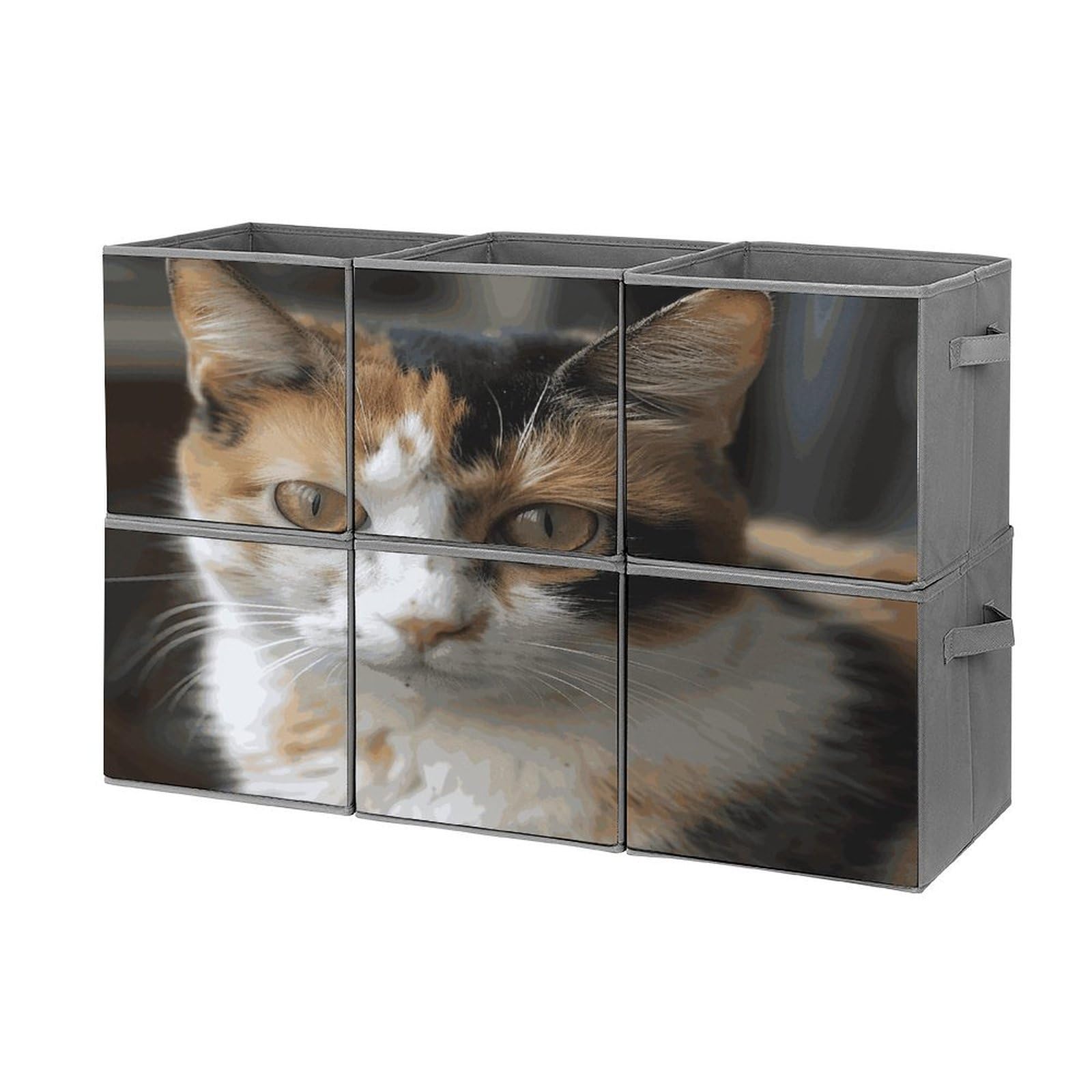 Btcowzrv Style A Cat Storage Cubes, 6 Pack Oxford Fabric Foldable Collapsible Bins With Handles, Cubby Storage Baskets Boxes For Closet Shelves Office Organization
