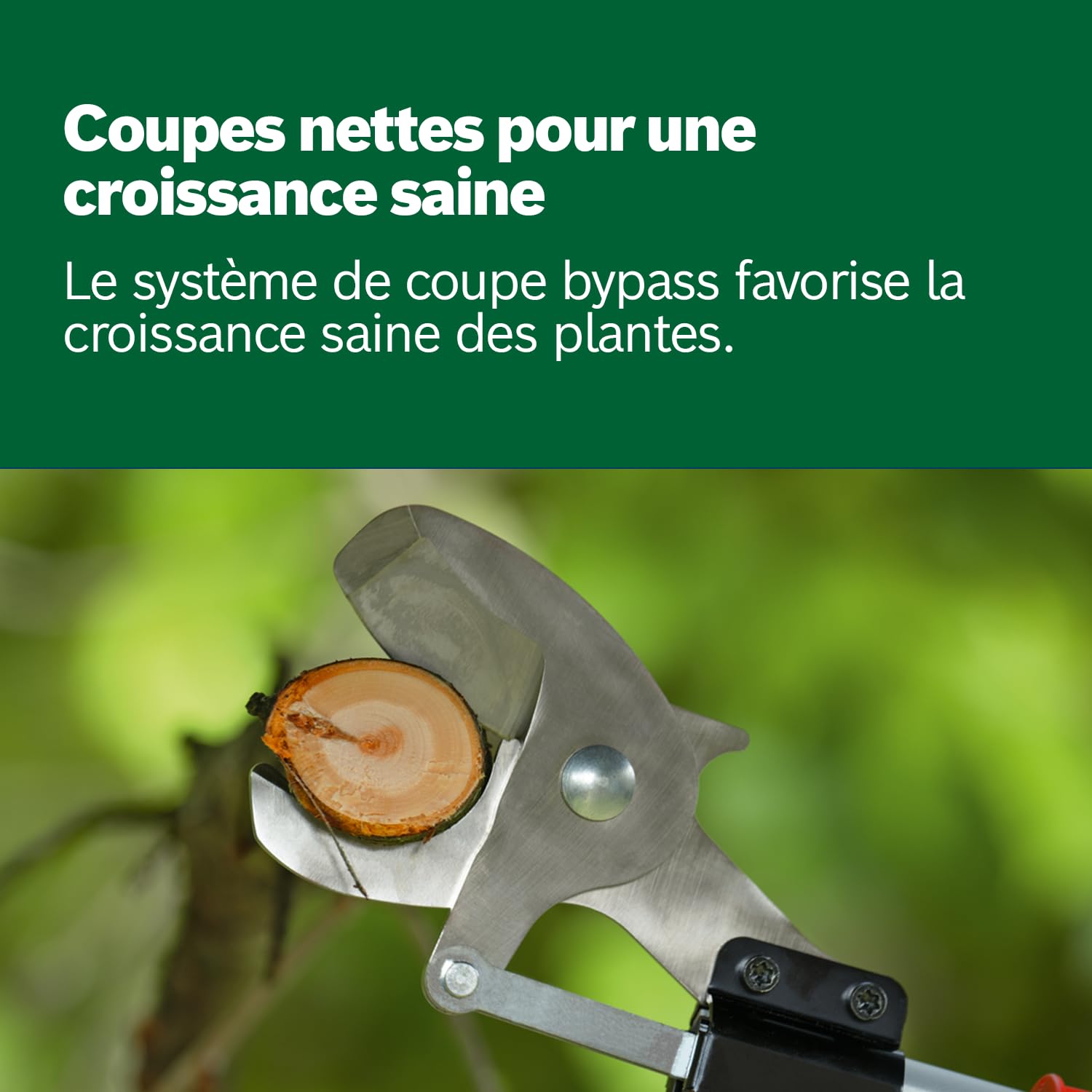 Bosch Home and Garden Sécateur sans fil AdvancedPrune 18V-45 (pour couper sans effort les branches jusqu'à 45 mm ; système 18 V ; jusqu'à 600 coupes ; avec batterie, chargeur et barre d'extension)