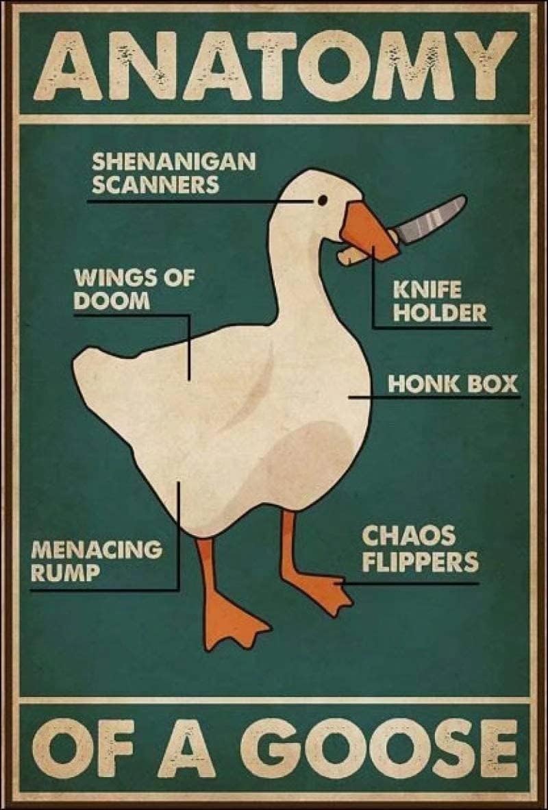 FGERT Goose Knowledge Metal Tin Sign Anatomy Of A Goose Retro Poster Restaurant Cafe Living Room Kitchen Bathroom Home Art Wall Decoration Plaque Gift 8inch X 12inch