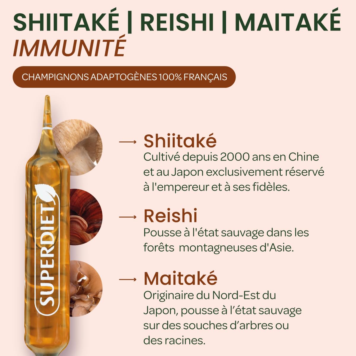 Shiitaké Reishi Maitaké - Champignons 100% français - Immunité - Ampoules | Cure 20 ampoules 10ml-Shiitaké 9000mg, Reishi 375mg, Maitaké 375mg-Méthode culture Japonaise-Fabrication Française-Superdiet