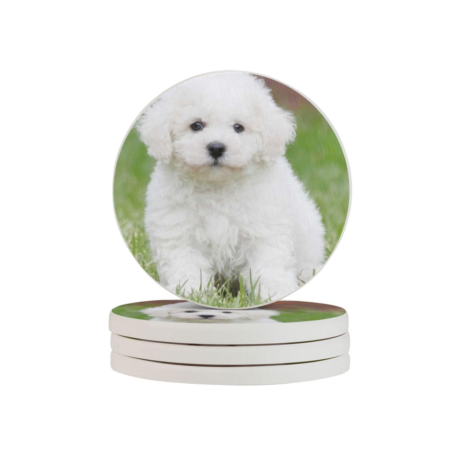 Dessous de verre Bichon Frise en diatomite contre les taches d'eau