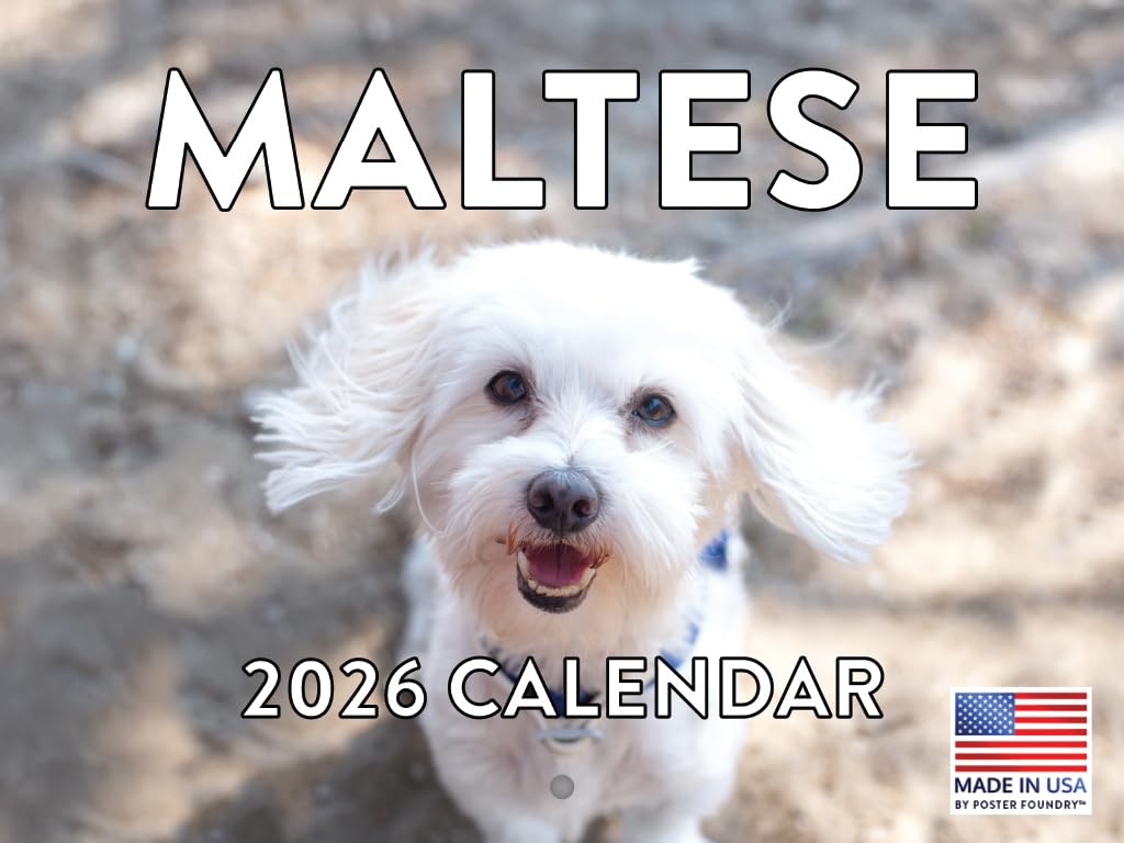 Maltese Calendar 2026 Monthly Wall Calender 12 Month | American Made In The USA โ image 1
