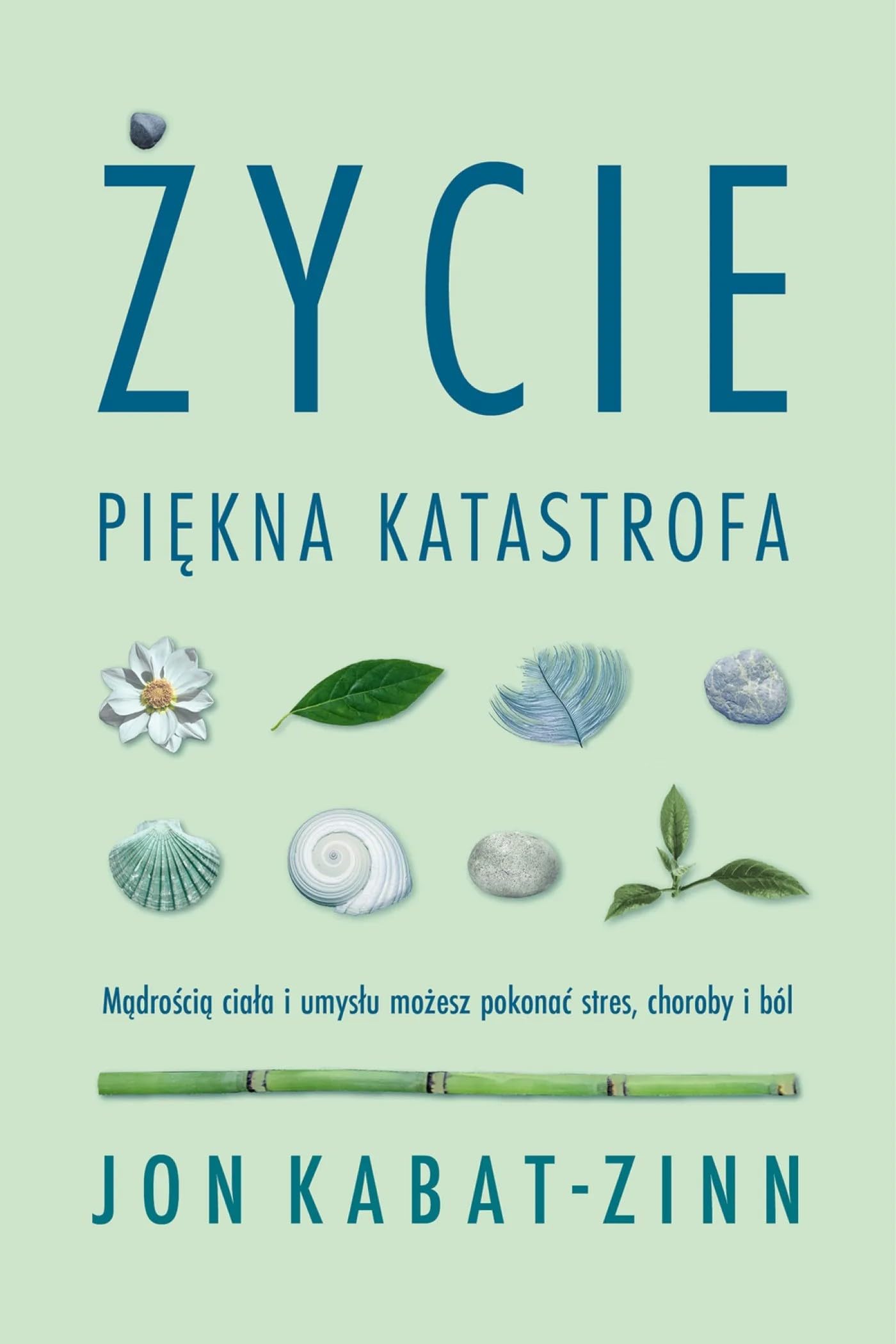 Życie, piękna katastrofa: Mądrością ciała i umysłu możesz pokonać stres, choroby i ból