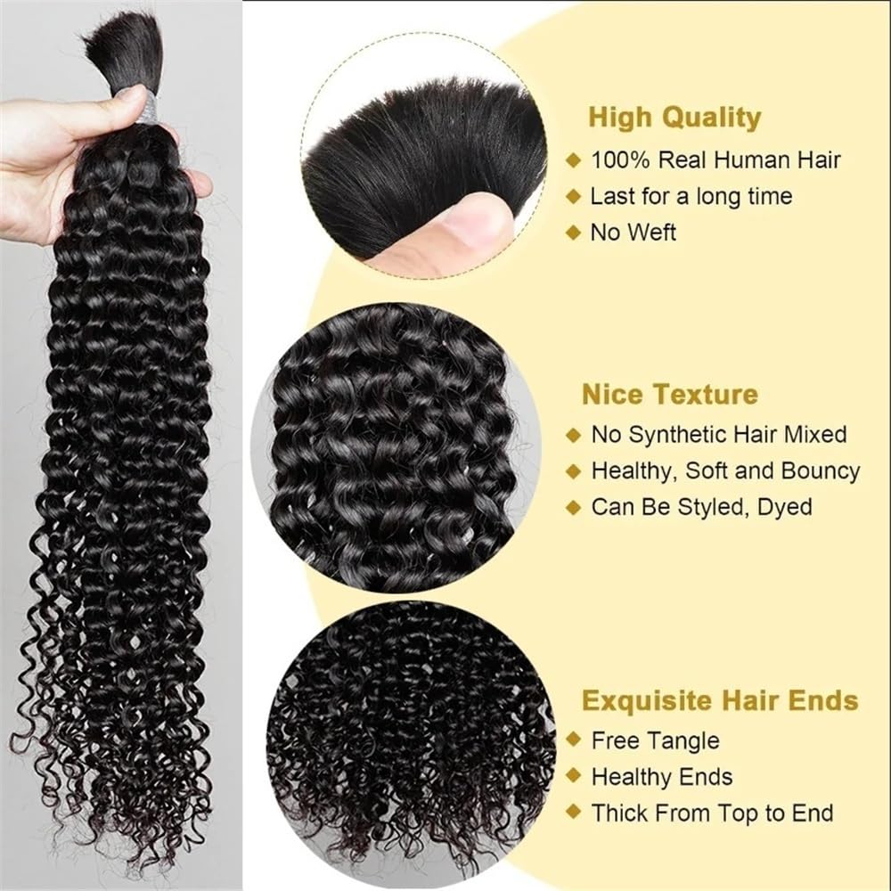 Haare für Braids Boho-Haar for Flechten, 25,4–71,1 cm, 1 Bündel, Jerry-Curly-Haarverlängerungen aus menschlichem Haar, ohne Schuss Haare für Flechten(10inches)