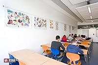 STAS Paper Rail 78.7'' Silver Wall-Mounted Display for Posters, Photos, Memos & Drawings - Gravity Grip Holder