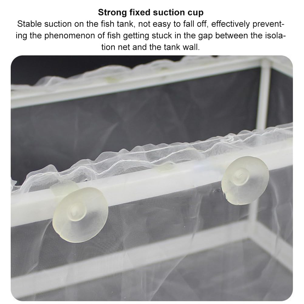 Boîte D'Élevage De Poissons, Filet D'Élevage Aquarium, Boîte D'isolation pour Aquarium, avec 4 Ventouses, Incubateur de Poissons D'aquarium pour Poisson Réservoir, 16 * 14 * 15CM